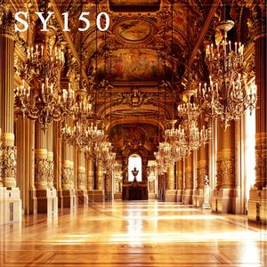 10'x10' SY150B88